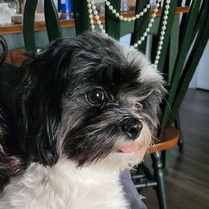 Meet your Posher, Sonia